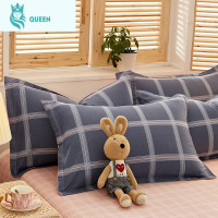 恋名媛棉枕套棉枕头套单人学生宿舍枕芯套儿童枕头套48x74cm一对装