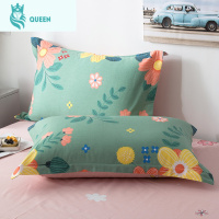 恋名媛棉枕套棉儿童枕头套单双人学生宿舍枕芯套48x74cm一对装