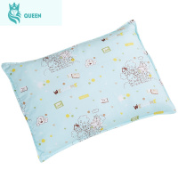 恋名媛宝宝枕头小孩幼儿园婴儿卡通小学生冬0-1-3-6岁儿童棉四季通用