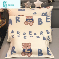 恋名媛可爱棉乳胶枕套一对装40x60家用枕头套ins风棉儿童枕芯内胆套