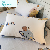 恋名媛ins可爱卡通棉枕套一对装单人棉枕头套儿童成人48x74cm枕芯套