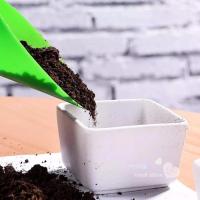 草炭土300g 乔乔花屋 百合花种植 花卉营养土炭土 300ML