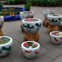 睡莲一颗装 三颗睡莲+花盆+营养液+塘泥]碗莲种子睡莲根块水培荷花种球根茎