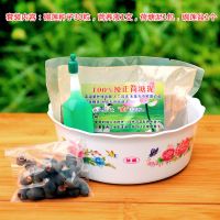 佛手 单独种子30粒[无赠品] 碗莲水培植物花种四季室内开花不断水养睡莲荷花种子莲花种籽盆栽