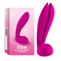 雷霆（LETEN） 百变兔震动棒女用自慰器充电便携迷你静音防水冲电振动外三点蒂刺激高潮女成人情趣用品 百变兔按摩器