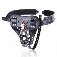 贞操裤sm内裤贞皮裤带防防裤防自慰茎锁防出轨男用另类