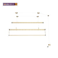 好太太（Hotata） GW-6680D 手摇晾衣架金色 升降晒衣杆手摇双杆式三杆式室内阳台家用