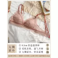 YUNWUXIN薄款文胸女超薄大胸显小法式蕾丝性感内衣女无钢圈美背文胸套装文胸套装