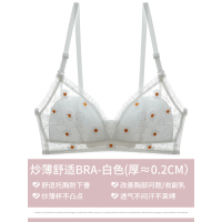 YUNWUXIN小雏菊内衣女薄款三角杯法式文胸小胸聚拢无钢圈胸罩超薄夏季白色胸罩