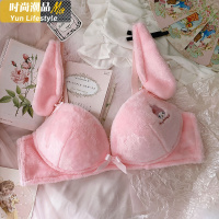 YUNWUXIN妹妹公主日系软妹可爱少女美乐蒂玉桂狗刺绣毛绒聚拢无钢圈文胸胸罩