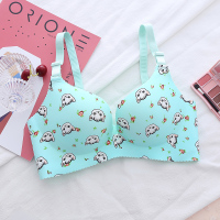 YUNWUXIN内衣女小胸聚拢加厚款无钢圈学生高中少女可爱调整型收副乳文胸胸罩