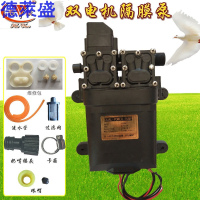 电动喷雾器水泵12电机高压打药泵自吸泵隔膜泵12小型抽水泵