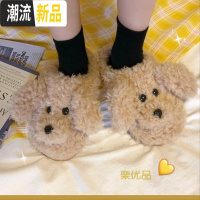 毛毛拖鞋女时尚流行可爱卡通拖鞋 秋冬新款居家室内保暖泰迪棉拖  广赫