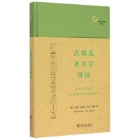 古埃及圣书字导读(精)/文字与文明译丛