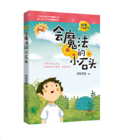 会魔法的小石头 苏铁苏铁著 寒假读一本好书 7- 9-12小学生三四五年级学校园书目 神奇小伙伴系列 儿童文学书籍