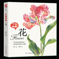 正版 万物我画--花 37种彩铅图绘花卉 宋洋著 彩色铅笔画素描教程色铅笔基础实用教程 彩铅画入彩铅画教程 美