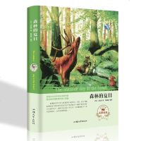 森林的夏日 (苏) 比安基著经典名著世界名著读本 外国小说文学 汕头大学出版社