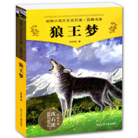 动物小说大王沈石溪的书大全狼王梦珍藏版全集正版全本全系列单本小学生课外阅读书籍四至五六年级课外书适合3-4初中必读老