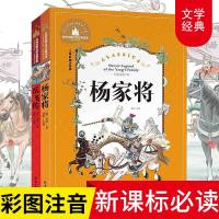 人生必读书 岳飞传 杨家将正版 中国经典青少年版少年小学生三四五六年级将军的故事必读课外书原著英雄人物的故事8-9-