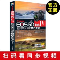 正版 Canon EOS 5D Mark Ⅳ数码单反摄影技巧大全 佳能EOS 5D MarkⅣ数码单反摄影从入到精