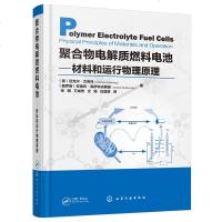 正版书籍 聚合物电解质燃料电池—材料和运行物理原理 (德)迈克尔·艾克林(俄罗斯)安德烈·库伊科夫斯基 热力学电化学
