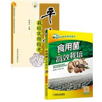 [全2册]食用菌高效栽培+平菇栽培实用技术 平菇香菇金针菇种植技术教程书籍食用菌虫害诊断与防治技术食用菌实用栽培技术