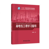 [正版教材书] “十三五”普通高等教育本科规划教材 高电压与绝缘技术系列教材 高电压工程学习指导陶劲松教材 研究生/