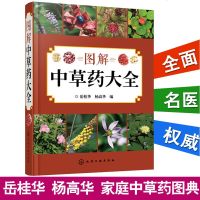 图解中草药大全 岳桂华 杨高华编 家庭中草药图典 中药疗效功效百科大全 中药药材服用禁忌 中药中医医学书 中草药植物