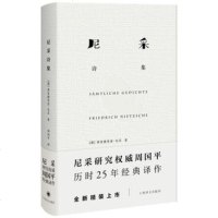 正版 尼采诗集 弗里德里希尼采著 周国平译 上海译文出版社 外国现当代文学诗歌集
