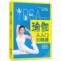 瑜伽从入到精通 初学瑜伽书籍教程大全 初级入瘦身减肥 从新手到高手 瑜伽垫初学者教程书 零基础瑜伽大全