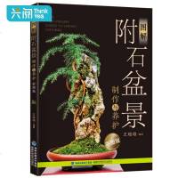 正版 图解附石盆景制作与养护 盆景艺术基础 盆景制作教程大全 盆景制作培训技法入 盆景养护欣赏大全养花书 书籍盆景