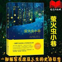 正版 萤火虫小巷1 描写友谊和人生的史诗力作 不输追风筝的人的友谊与人性 囗碑媲美世界上另一个你 克莉丝汀汉娜