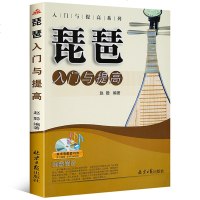 琵琶入与提高 入与提高系列 琵琶零基础自学入教程书 初学琵琶技巧教材书籍 琵琶乐谱曲谱流行歌曲音乐书籍