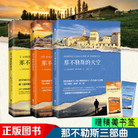 正版 那不勒斯的黎明+那不勒斯的天空+那不勒斯的萤火 全套3册 威尔吉利奥著 外国文学小说 书籍 追风筝的人