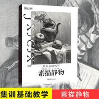 正版 集训基础教学.素描静物 编者:高西涛 工艺美术(新)艺术 重庆大学出版社