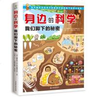 正版 身边的科学 我们脚下的秘密 儿童俱乐部东京书籍株式会社 地下世界儿童科普书籍风靡日本的儿童生活百科全书观察求知