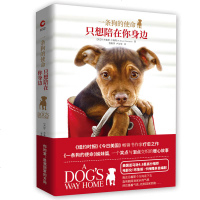 正版 一条狗的使命 只想陪在你身边 布鲁斯卡梅隆 人与动物的温暖相遇 外国现代当代文学长篇情感小说