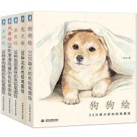 狗狗绘+花之绘+美食绘+风景绘+多肉绘全5册 彩铅绘物语 飞乐鸟 色铅笔手绘集合教程书 彩铅手绘彩色绘画教程 速写笔