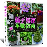新手养花不败指南 养花入的书 从零开始学栽培多肉植物种花养花书籍图书大全 多肉养护种植养殖书籍花卉种植物养殖园艺教