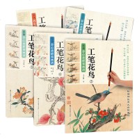 工笔花鸟全5册工笔画国画基础教程入零基础教程绘画入零基础书籍工笔画从入到精通山水花鸟工笔画基础绘画初学者美术绘