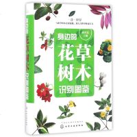 身边的花草树木识别图鉴 耿世磊 常见的观赏植物500 余种 植物爱好者和中小学生认识和鉴定观赏植物的工具书
