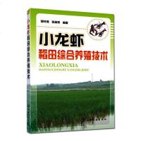 小龙虾稻田综合养殖 小龙虾养殖技术书籍 水产高效健康养殖书 科学养殖龙虾大全教程 虾病害防治书籍 小龙虾养殖 高效水