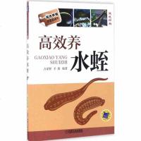 高效养水蛭 水蛭养殖技术书籍 水蛭繁殖病虫害防治技术 水蛭养殖技术大全 科学养殖饲养水蛭教材的书 水产养殖技术指导书
