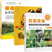 柑橘橙柚病虫害诊断与防治原色图鉴+柑橘营养与施肥+柑橘标准园生产技术 全3册 果树栽培种植技术大全书籍病虫害防治安全