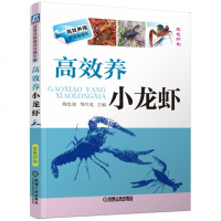 正版 高效养小龙虾 小龙虾养殖技术书 淡水龙虾养殖技术大全书籍与病害防治人工繁殖科学零基础学养龙虾饲养喂养水产教程入