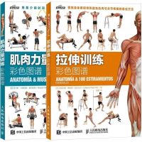 正版 肌肉力量训练彩色图谱+拉伸训练彩色图谱 科学运动健身全2册 拉伸训练书 体育保健学 健身练肌肉 肌肉训练图谱塑