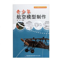 正版 青少年航空教育系列图书 放飞梦想 航模制作初步 航模制作diy 航模飞机制 制作遥控模型飞机入 动手动脑快乐