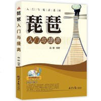 正版 琵琶入与提高 入与提高系列 琵琶零基础自学入教程书 初学琵琶技巧教材书籍 琵琶乐谱曲谱流行歌曲音乐乐理知