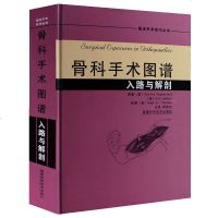 骨科手术图谱/入路与解剖[彩色精装]骨科手术学临床外科手术技巧丛书 运动解剖学骨科手术图谱 实用骨科学医学书籍