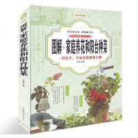 图解 家庭养花和阳台种菜 居家健康花草大全室内养花书籍盆景入家庭养花大全栽培植物技术多肉植物种植图鉴新手盆栽花卉种